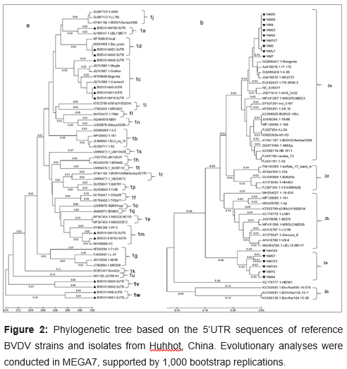 Novel Subgenotypes of Bovine Viral Diarrhea Virus based on 5’ UTR Molecular Epidemiology in Cattle from Huhhot of Inner Mongolia Autonomous Region, China